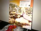 Led Zeppelin Houses of the Holy Sealed LP