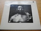 MUDDY WATERS After The Rain UK 1st Press CHESS LP