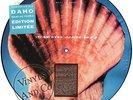 ETIENNE DAHO - Caribbean Sea [Longue Plage Version 6'21] MAXI - PICTURE DISC 12