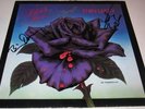 THIN LIZZY Black Rose - VINYL LP Gary Moore Scott Gorham Downey Autograph SIGNED
