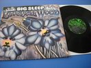 BIG SLEEP ---BLUEBELL WOOD -- GLOBAL RECORDS ORIGINAL 1971 --- VERY RARE 