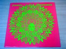 EX/EX   Magic Mushroom Band/Process Of Illumination/1990 Fungas LP