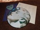 Madonna True Blue RARE Japanese Picture Disc LP - Black Rim - Cropped Image
