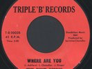 FOUR SONICS: Where Are You / Blue Velvet (rare soul vinyl 45)