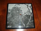 Cassle - Midnight Fantasy Pic Disc RARE