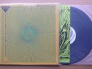 Mandra Gora Lightshow Society: Beyond The Mushroam Gate, LP