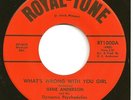 GENE ANDERSON & DYNAMIC PSYCHEDELICS  Northern 45  What's Wrong With You Girl