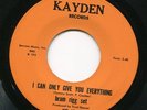BRAM RIGG SET - I Can Only Give You Everything - US 60s garage 45