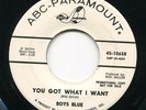 BOYS BLUE - You Got What I Want  - Freakbeat, garage , mod 45