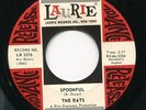 RATS - Spoonfull - freakbeat garage mod 45