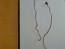 SMART WENT CRAZY ?? CON ART ?? VINYL LP record ? DIS1 the shins flin flon hoover