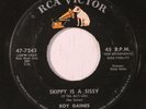 ROY GAINES: Skippy Is A Sissy (rare rockabilly vinyl 45) # rubber stamp ol