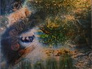 LP Pink Floyd A Saucerful Of Secrets / Columbia SCX 6258 / 1968 / first Press /