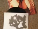 The Twilight Singers-She Loves You,  Vinyl LP, Afghan Whigs, Greg Dulli