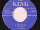 SWALLOWS: Eternally / It Ain't The Meat (rare vocal groups 45)