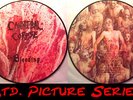Cannibal Corpse ?– The Bleeding  Ltd. Picture Vinyl, LP (Death Metal, Slayer)