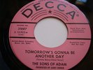1965 Rock 45 THE SONS OF ADAM Take My Hand / Tomorrow