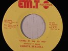 rare Modern Soul 45 CHERYL BERDELL giving it all to you EM.T Hear