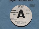 THE RIOT SQUAD-IT'S NEVER TOO LATE TO FORGIVE-PYE-***WHITE DEMO***
