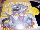 Catfish – Live, feat. Bob Hodge (Lp, 1971) Bayou-Bluesrock on stage in action