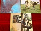 PINK FLOYD  Atom Heart/Meddle/Ummagumma