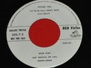 Elvis 