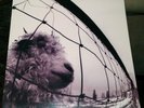Pearl Jam - Vs. Vinyl LP original Epic grunge 1993 with lyrics inner