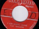 THE WAILERS/SKINHEAD REGGAE/COXSONE Orig JA/I AM GOING HOME - HURTS TO BE ALONE