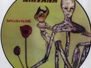 NIRVANA / INSESTICIDE (1992) rare picture disc LP mexican Press Tres bon ETAT EX