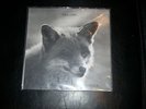 RAVJUNK Uppsala Stadshotell Brinner LP Swedish hard psych prog rag i ryggen OOP