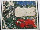 STONE ROSES I AM THE RESURRECTION 12