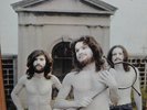 LE ORME.COLLAGE. DISCO VINILE . LP VINYL DISC 33
