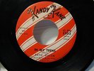 IN MY TEENS ARTIE DILLON TEEN ROCKER ON KANDY KANE-PEORIA,IL LABEL