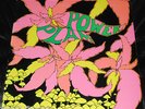 THE GOLDEN DAWN “Power Plant” TOP International Artists Garage Psych lp M-