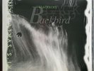 AUDIOPHILE LP:Siri's Svale Band/Blackbird*MINT*Ltd. 180 GRAM*SONOR