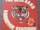 The Beta Band - Champion Versions 12