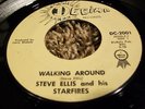 Garage 45 from Minnesota STEVE ELLIS AND THE STARFIRES Decima Label