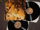GAS Wolfgang Voigt KONIGSFORST   RARE DOUBLE VINYL LP Mille Plateaux