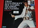 Elvis 