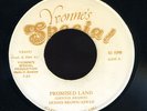 Dennis Brown & Aswad - Promised Land JA orig 7