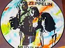 LED ZEPPELIN, MUDSLIDE - PICTURE DISC - MINT - Rare