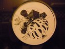 Mister Voodoo- Lyrical tactics/shine/hemlock 12