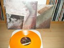 GIVE UP THE GHOST background music LP sxe american nightmare gutg an ORANGE /400