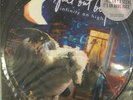 FALL OUT BOY Infinity On High ** PICTURE DISC orig. US 2007 new/unplayed