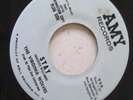 THE VIRGINIA WOLVES-STAY-AMY RECORDS PROMO COPY