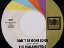 THE RAGAMUFFINS Don't Be Gone Long/The Fun We Had 7