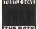 Rats (UK) Turtle Dove 7