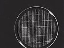 KRAFTWERK RADIOACTIVITY LP 1975