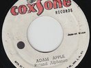 Roland ALPHONSO * SKATALITES * Adam Apple * 60's SKA POPCORN RE 45 * Listen