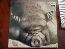 Kin Ping Meh Nr.2  orig. deutsche Ertstpressung 1972  Vertigo Swirl Same Lable